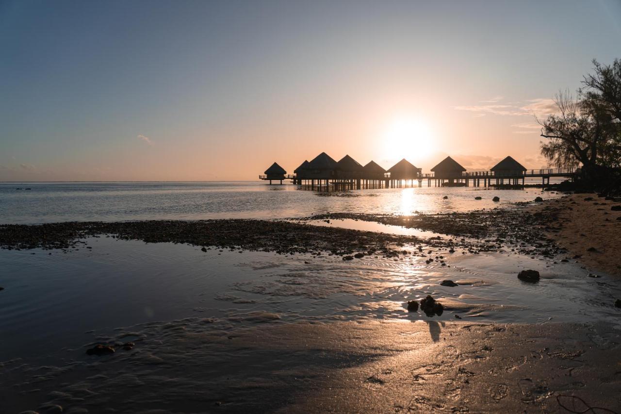 Le Charme Polynesien Proximite Plage Et Commerces بوناويا المظهر الخارجي الصورة